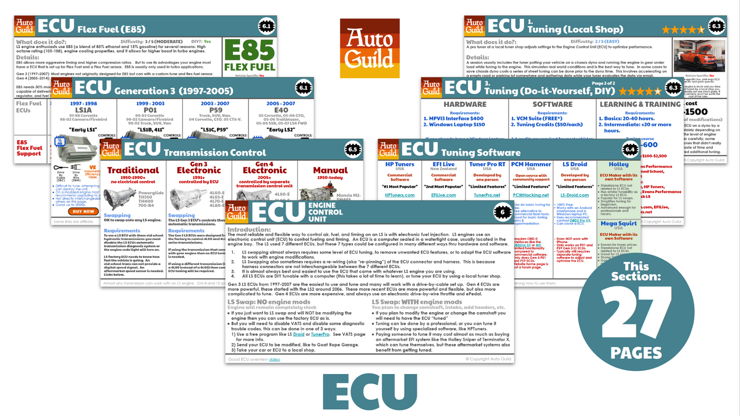 eBook: LS Swap "Survival Guide"